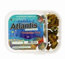 Psilocybe Atlantis Magic Truffle